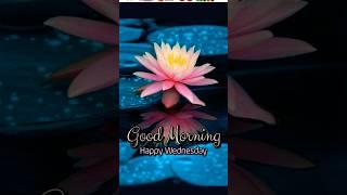 #happywednesday#relaxing#nature #love#morning#goodmorning #congratulations#wishes#whatsapp_status