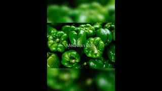 Manfaat Paprika Hijau