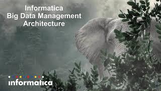 02 -Informatica Big Data Management Architecture