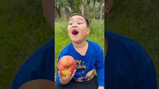 Cậu bé tốt bụng Gỡ bỏ nhãn dán Apple#camping#apple#lifehacks#outdoors #funny #shorts 