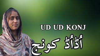 UD UD KONJ | Gojri Old song superhit song by irshana alam