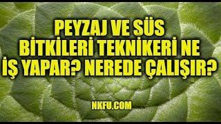 Peyzaj ve Süs Bitkileri Mezunu Ne İş Yapar? Nerede Çalışır?