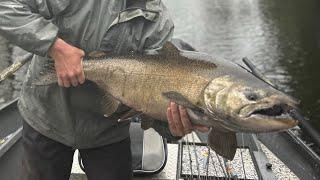 SPRING CHINOOK fishing went from slow to INSANE (Small Water Salmon Fishing)