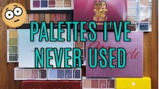 Palettes I've Never Used   It's Embarrassing