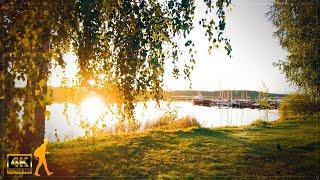 Walking at Sunrise in the Harbor  Loviisa, Finland