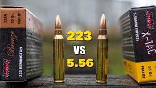 223 vs 5.56 | What's the Difference?