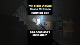천안건물급매물 월수익1000만원 연면적223평 지상4층 터미널 상가건물매매 대로변 대박입지 #천안건물급매물 #천안상가건물 #천안부동산#수익형부동산 #건물매매