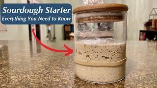 The Sourdough Starter LIFE CYCLE Explained