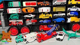 Big Car Carrier Looks for 21 Diecast Cars! 【Kuma's Bear Kids】