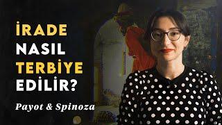 İrade Nasıl Terbiye Edilir?