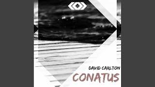 Conatus (Original Mix)