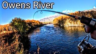 Fishing Remote Sections Of The Owens River For Wild and Stocked Trout #EasternSierra #OwensValley