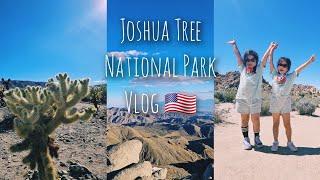 [아원VLOG]미국서부_여기는 꼭 가야해!! 조슈아 트리 국립공원오후부터 밤까지/Joshua tree national park