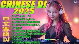 《超好聽》全中文DJ舞曲 高清 新2025夜店混音【你莫走  拥抱你离去  情火  三月裡的小雨  ...】【抖音DJ版合辑】夜店舞曲 重低音, 精选歌曲 超好听 / 最新最火DJ抖音版2025