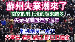 蘇州失業潮來了，南京假裝上班的越來越多，失業提前回老家過年，中國難逃創業三魔咒，大學生老闆網紅都已經貶值化