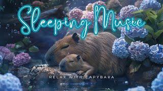 Capybara relaxing sleep Music 1 Hour