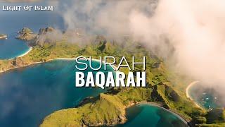 Surah Baqarah | Quran With Urdu Translation | Maulana Fateh Muhammad Jalandhari | ️‍🩹