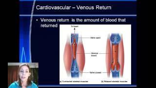 Yr 12 Acute Responses - Cardiovascular