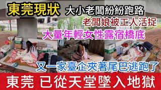 東莞八月現狀：已開啓地獄模式，各大小老闆紛紛跑路，橋底下躺著大量的失業年輕女孩，又一家臺企宣佈結業，底層互害激烈，騙子重出江湖，房價126萬降到56萬也沒人買