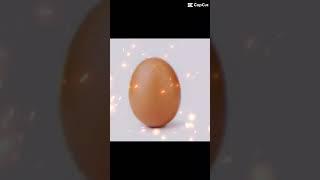 Beauty#shorts#edit#egg#fypシ゚viral#funny#cleanupyoutube