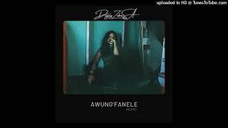 Deejay Zebra SA - Awung’Fanele (Remix)