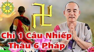 Chỉ 1 Câu Nhiếp Thâu 6 Pháp ( Sư Minh Tuệ ) Chia sẻ từ cư sĩ Hữu Nghĩa