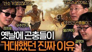 곤충 전문가가 알려주는 3억 년 전 지구를 지배한 곤충들이 거대했던 진짜 이유 (산소 때문이 아니었다..) | 과학을 보다 EP.73