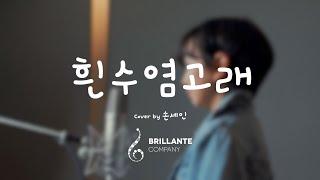 [Brillante youtube cover] 흰수염고래(위키드ver.) cover by 손세인