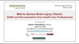 Mild to Severe Brain Injury Clients: GOSE and Documentation from Health Care Professionals