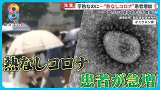 【警戒】「平熱なのに」“熱なしコロナ”患者増加…気付かず感染拡大も お盆期間の対処法は？【めざまし８ニュース】