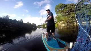 LunkerHunt Popping Frog found in Lucky Tackle Box sup Paddle Board fishing