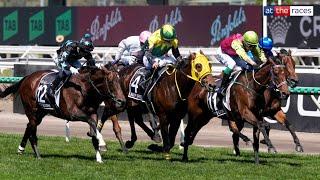 Melbourne Cup 2024 Replay | 90/1 shot Knight's Choice wins it in a photo finish under Robbie Dolan!