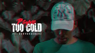 Psyve - Too cold ft. Servgraebarz (Audio)