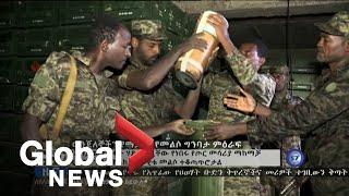 Tigray conflict: Ethiopian forces claim to have killed or captured most rebel leaders