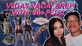 VACATION PREP WITH 20 PETS