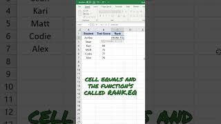 How to Rank from Highest to Lowest in Excel