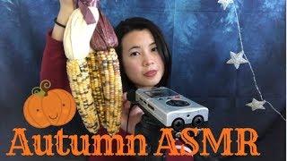 [ASMR]  Autumn Triggers | Tapping, Scratching, Deep in your ears binaural sounds