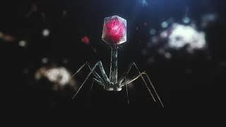 Disease Hunters Documentary Series - Scientific Animation