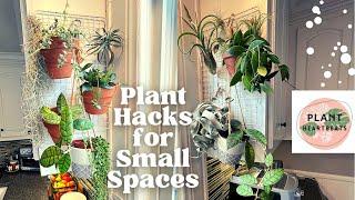 House Plant HACKS / Styling and Decor for Small Spaces! Plant Tour with names