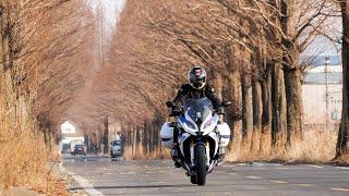 창원 동읍 죽동마을 메타세콰이아길 BMW R1200RT & BMW R1250RS . 창원 드라이브 코스! (멘트/자막 없음)