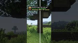 Minecraft Best Resource Pack in 3d Comparison #shorts