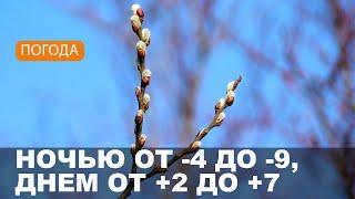 Погода на Могилевщине 07.03.2024 // Малооблачно и без осадков