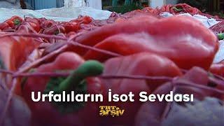 Urfalıların İsot Sevdası (2003) | TRT Arşiv