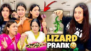 Lizard in Food Prank With Sistrology House | Rabia Faisal