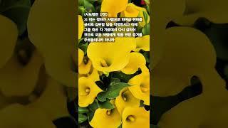 말씀찬양 행 17:31 부활하신 예수 그리스도로 다시 일어납시다.