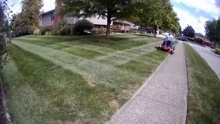 Toro Stripes from above