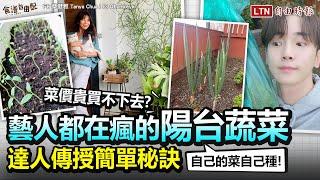 自己的菜自己種！藝人都在瘋「陽台蔬菜」達人傳授 0 失敗秘訣