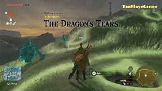 The Dragon's Tears : Zelda Tears Of The Kingdom.