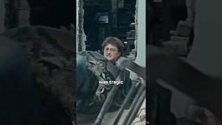 Harry Potter's Stuntman Tragic Fate