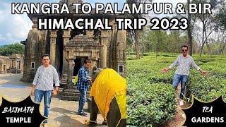 Trip to Himachal with my Parents | Bir Landing Site | Palampur tea gardens | Palampur food tour |